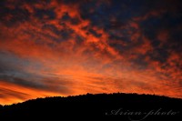 /album/fotogaleria/utolso-felvonas-jpg/